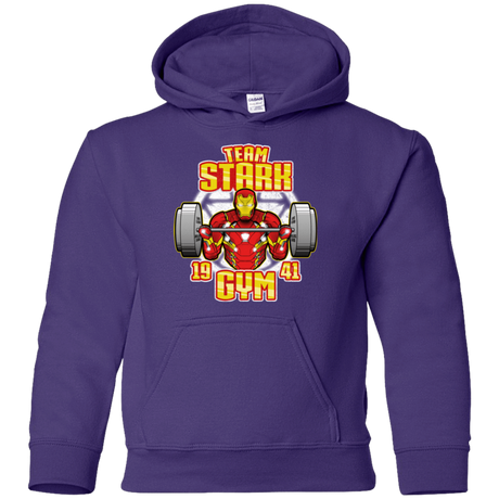 Sweatshirts Purple / YS Team Stark Gym Youth Hoodie