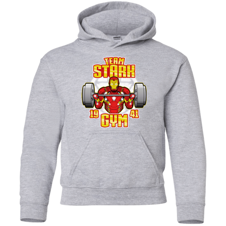 Sweatshirts Sport Grey / YS Team Stark Gym Youth Hoodie