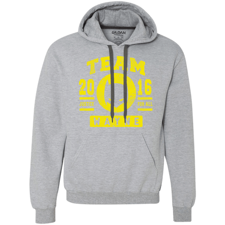 Sweatshirts Sport Grey / Small TEAM WAYNE Premium Fleece Hoodie