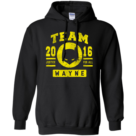 Sweatshirts Black / Small TEAM WAYNE Pullover Hoodie
