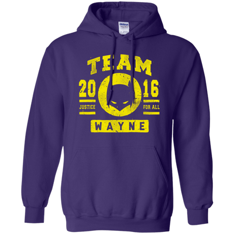 Sweatshirts Purple / Small TEAM WAYNE Pullover Hoodie