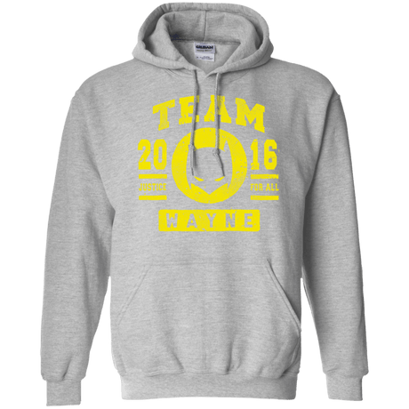 Sweatshirts Sport Grey / Small TEAM WAYNE Pullover Hoodie