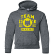 Sweatshirts Dark Heather / YS TEAM WAYNE Youth Hoodie