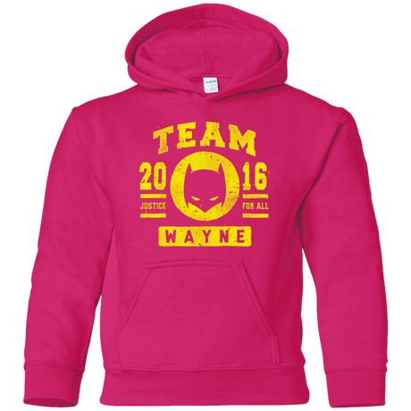 Sweatshirts Heliconia / YS TEAM WAYNE Youth Hoodie