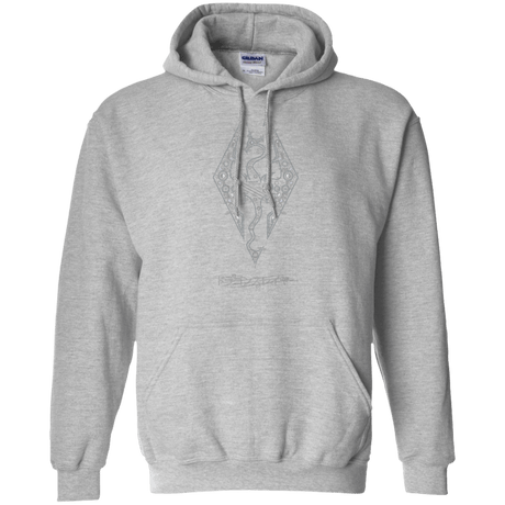 Sweatshirts Sport Grey / Small Tech Draco Pullover Hoodie