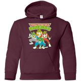 Sweatshirts Maroon / YS Teenage Mutant Ninja Rangers Youth Hoodie