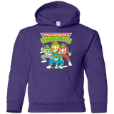 Sweatshirts Purple / YS Teenage Mutant Ninja Rangers Youth Hoodie