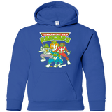 Sweatshirts Royal / YS Teenage Mutant Ninja Rangers Youth Hoodie