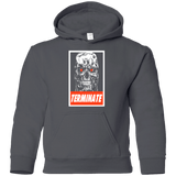 Sweatshirts Charcoal / YS Terminate Youth Hoodie