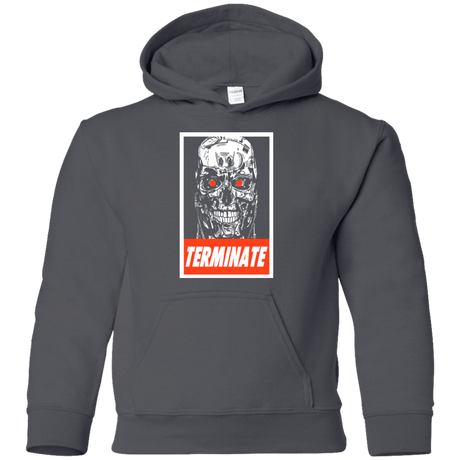 Sweatshirts Charcoal / YS Terminate Youth Hoodie