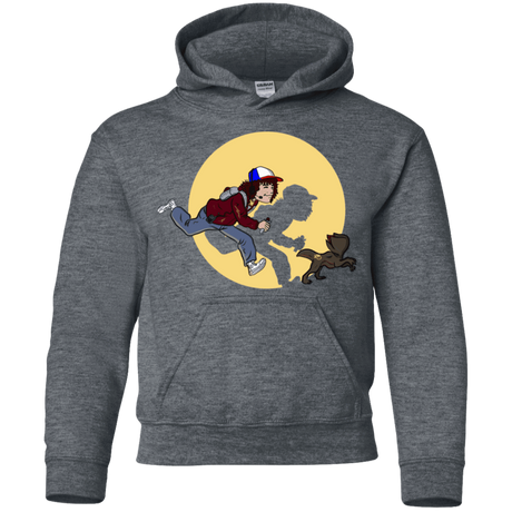 Sweatshirts Dark Heather / YS The Adventures of Dustin Youth Hoodie