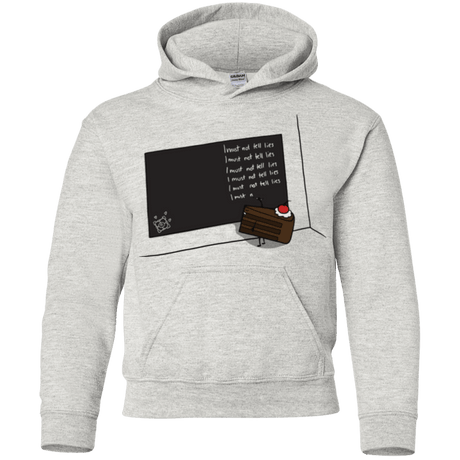 Sweatshirts Ash / YS The Cake is a Lie Youth Hoodie