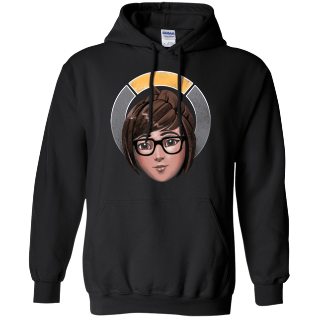 Sweatshirts Black / Small The Climatologist Pullover Hoodie