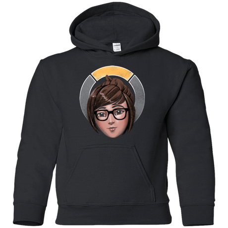 Sweatshirts Black / YS The Climatologist Youth Hoodie