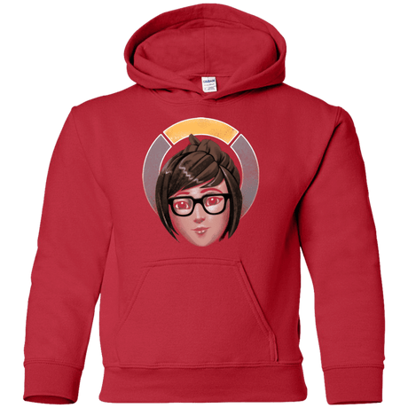 Sweatshirts Red / YS The Climatologist Youth Hoodie