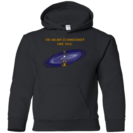 Sweatshirts Black / YS The Galaxy is Dangerous Youth Hoodie