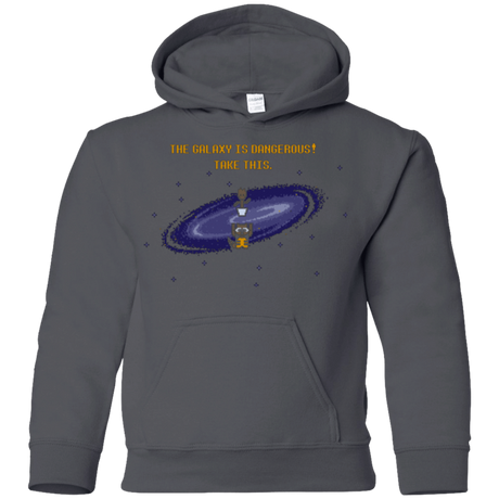 Sweatshirts Charcoal / YS The Galaxy is Dangerous Youth Hoodie