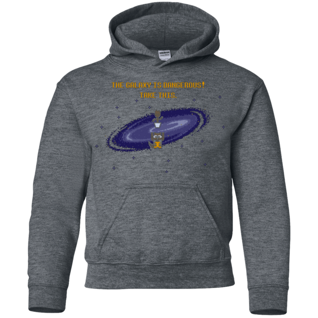 Sweatshirts Dark Heather / YS The Galaxy is Dangerous Youth Hoodie