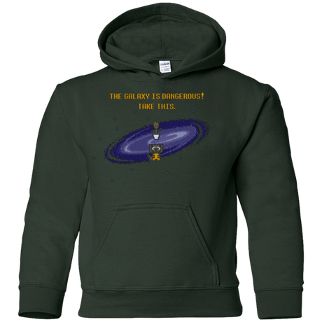 Sweatshirts Forest Green / YS The Galaxy is Dangerous Youth Hoodie
