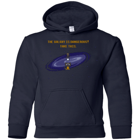 Sweatshirts Navy / YS The Galaxy is Dangerous Youth Hoodie