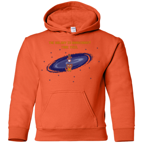 Sweatshirts Orange / YS The Galaxy is Dangerous Youth Hoodie