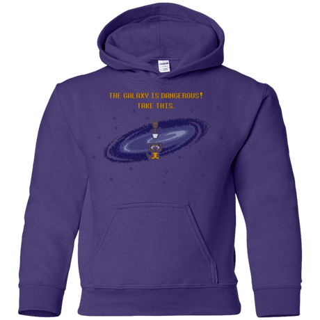 Sweatshirts Purple / YS The Galaxy is Dangerous Youth Hoodie