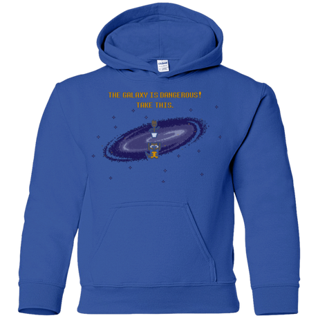 Sweatshirts Royal / YS The Galaxy is Dangerous Youth Hoodie