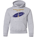 Sweatshirts Sport Grey / YS The Galaxy is Dangerous Youth Hoodie