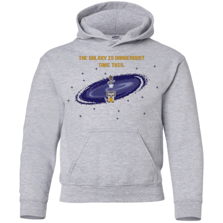 Sweatshirts Sport Grey / YS The Galaxy is Dangerous Youth Hoodie