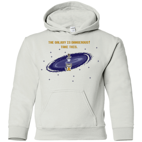 Sweatshirts White / YS The Galaxy is Dangerous Youth Hoodie