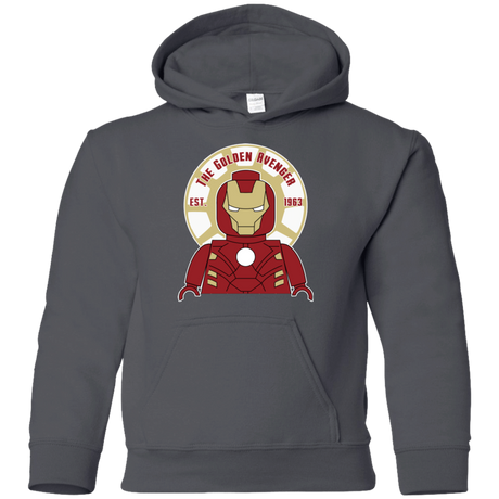 Sweatshirts Charcoal / YS The Golden Avenger Youth Hoodie