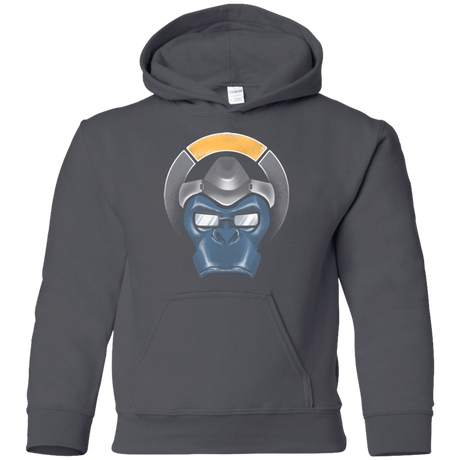 Sweatshirts Charcoal / YS The Gorilla Youth Hoodie