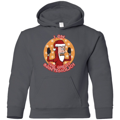 Sweatshirts Charcoal / YS The Great Santaholio Youth Hoodie