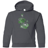 Sweatshirts Charcoal / YS The Green Knight Youth Hoodie