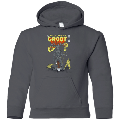Sweatshirts Charcoal / YS The Incredible Groot Youth Hoodie