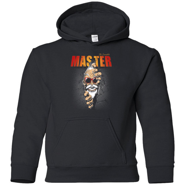Sweatshirts Black / YS The Incredible Master Youth Hoodie