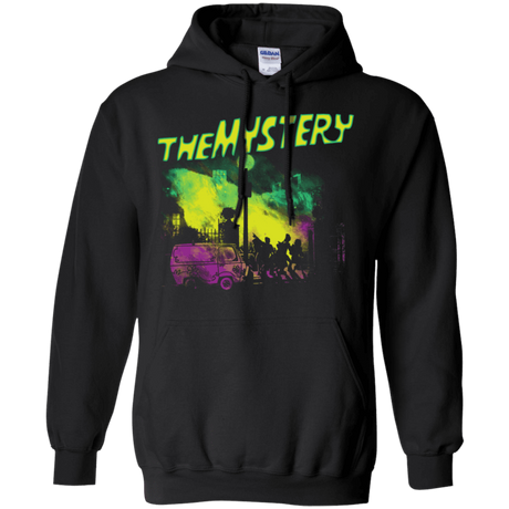 Sweatshirts Black / S The Mystery Pullover Hoodie