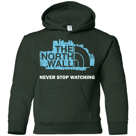 Sweatshirts Forest Green / YS The North Wall Youth Hoodie