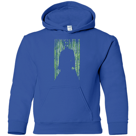 Sweatshirts Royal / YS The One Youth Hoodie