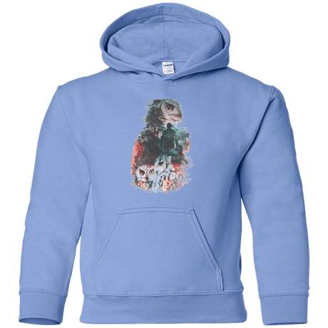 Sweatshirts Carolina Blue / YS The Owls are Not What They Seem Youth Hoodie