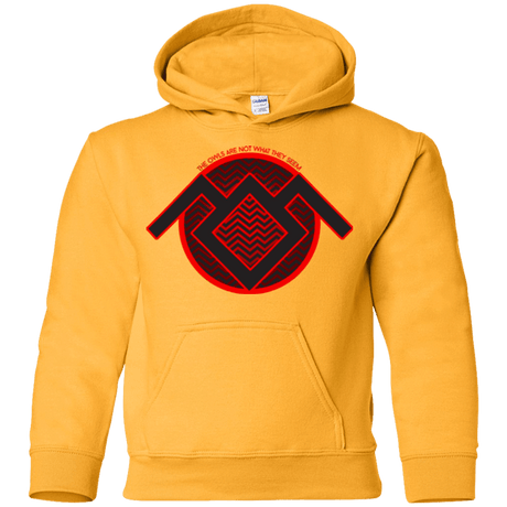 Sweatshirts Gold / YS The Owls are Not what they Seem Youth Hoodie