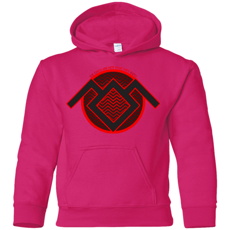 Sweatshirts Heliconia / YS The Owls are Not what they Seem Youth Hoodie