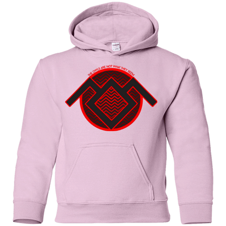 Sweatshirts Light Pink / YS The Owls are Not what they Seem Youth Hoodie