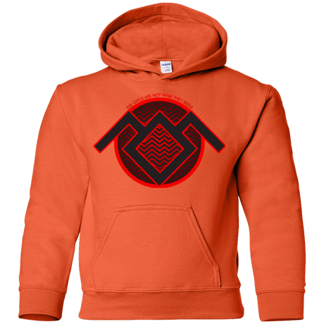 Sweatshirts Orange / YS The Owls are Not what they Seem Youth Hoodie