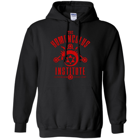 Sweatshirts Black / Small The Sins of the Father Pullover Hoodie