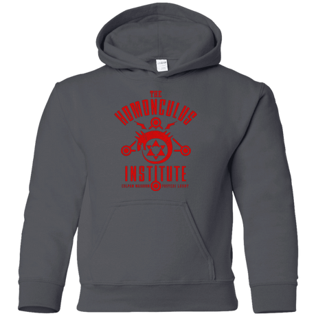 Sweatshirts Charcoal / YS The Sins of the Father Youth Hoodie