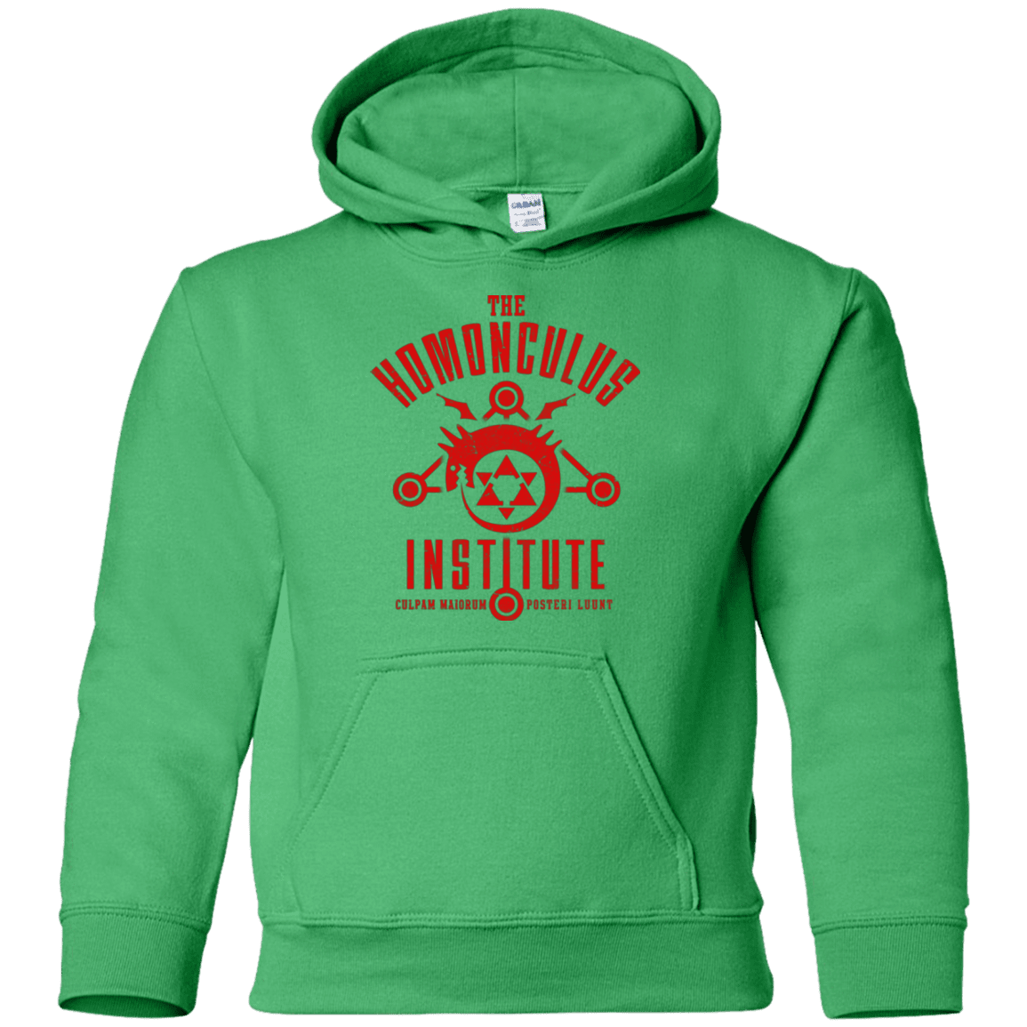 Sweatshirts Irish Green / YS The Sins of the Father Youth Hoodie