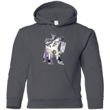 Sweatshirts Charcoal / YS The Valkyries Youth Hoodie