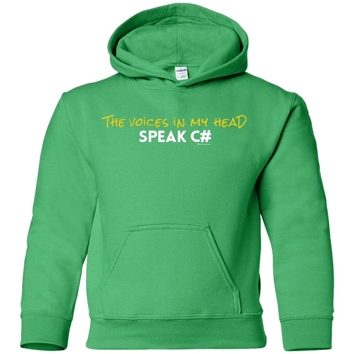 The Voices In My Head Speak C# Youth Hoodie