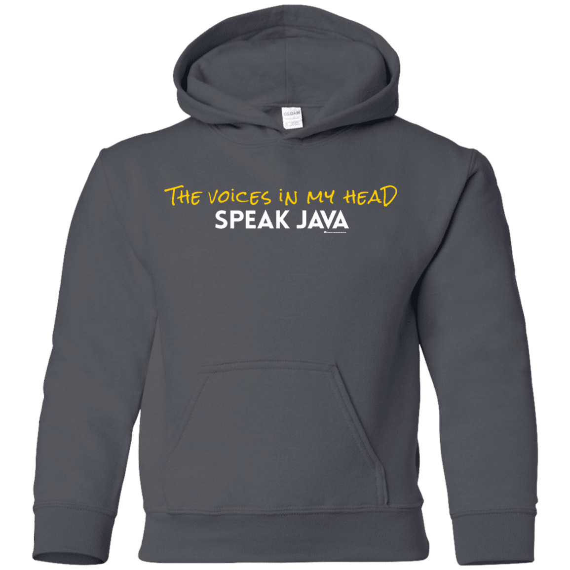 The Voices In My Head Speak Java Youth Hoodie